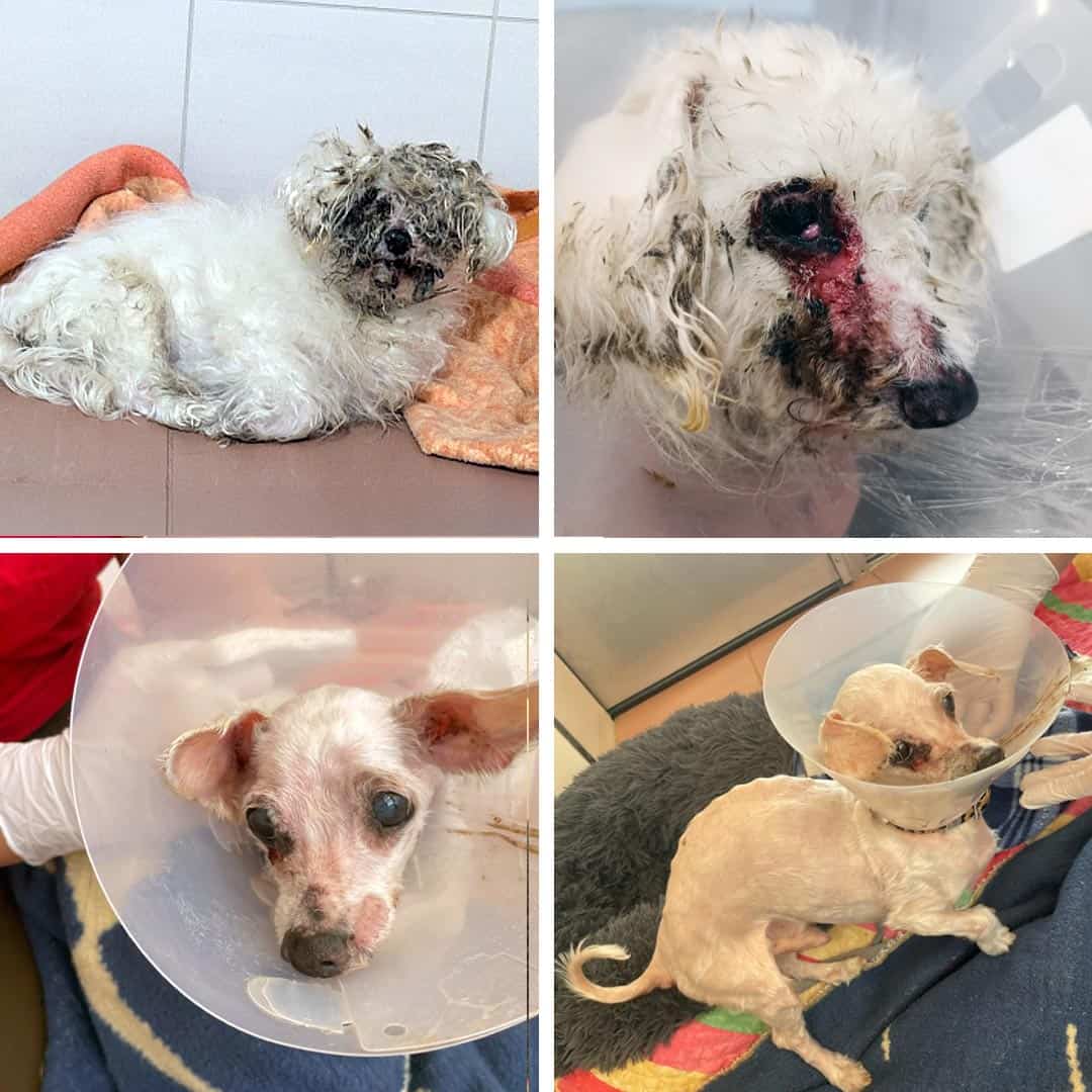 Spendenseite Notfall Rudi mobil Spendenseite Notfall Rudi mobil