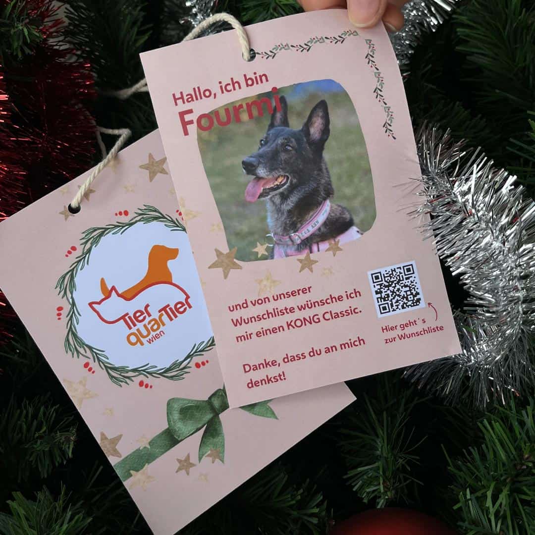 Unternehmen Weihnachten Wunschzettel