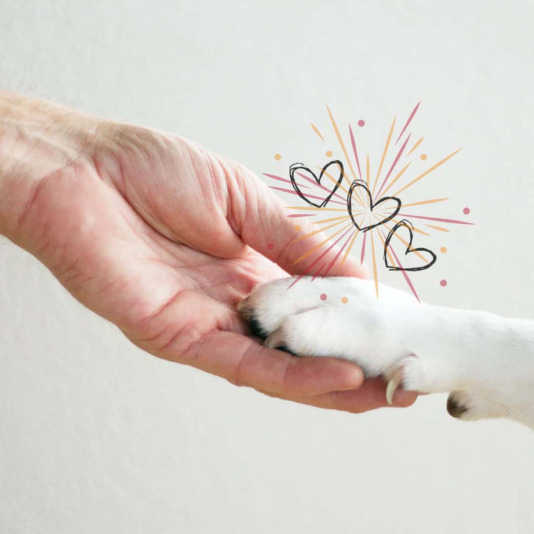 P2P Online Spendenaktion mobil