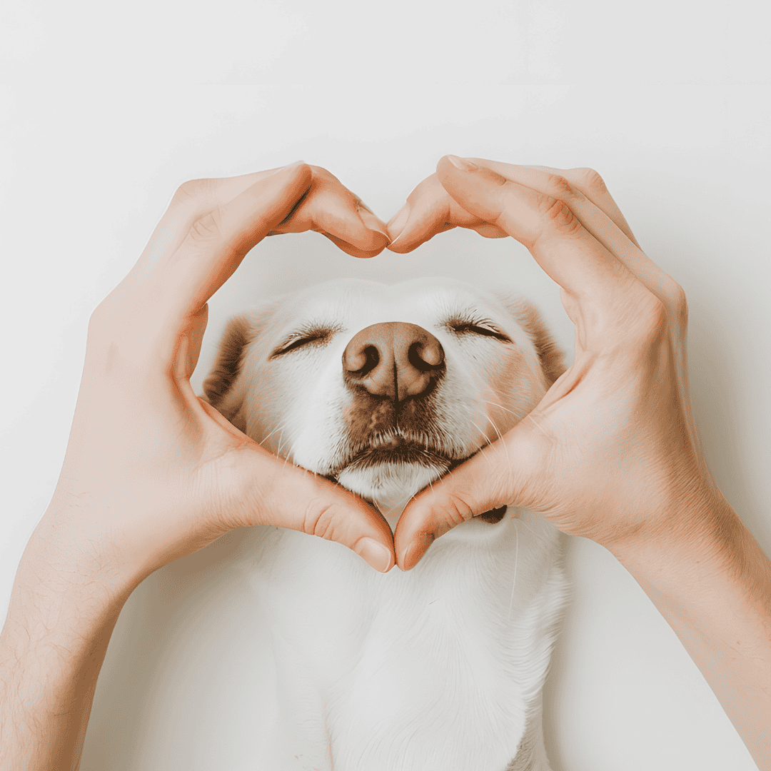 Spendenseite Peer-to-Peer Individuelle Spendenaktion mobil