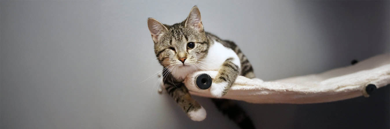 Spendenprojekt "Eigene Spendenprojekt starten"