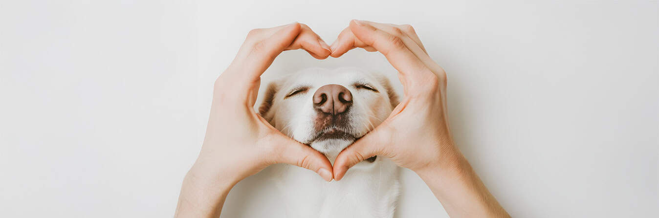 Spendenseite Peer-to-Peer Weihnachten