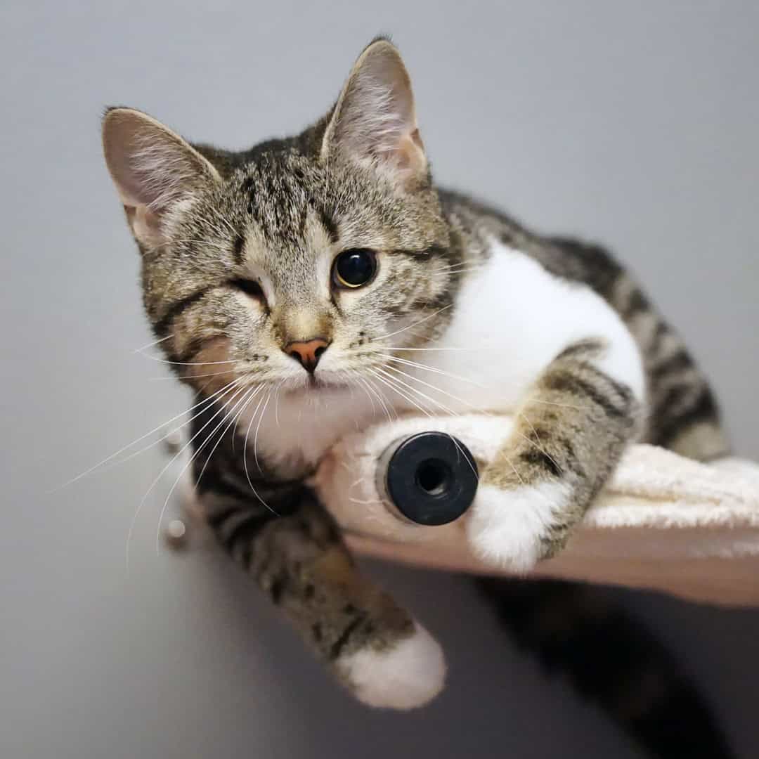 Spendenprojekt "Eigene Spendenprojekt starten" mobil