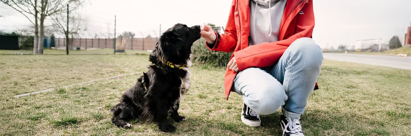 Spendenseite Helfen und Mitmachen