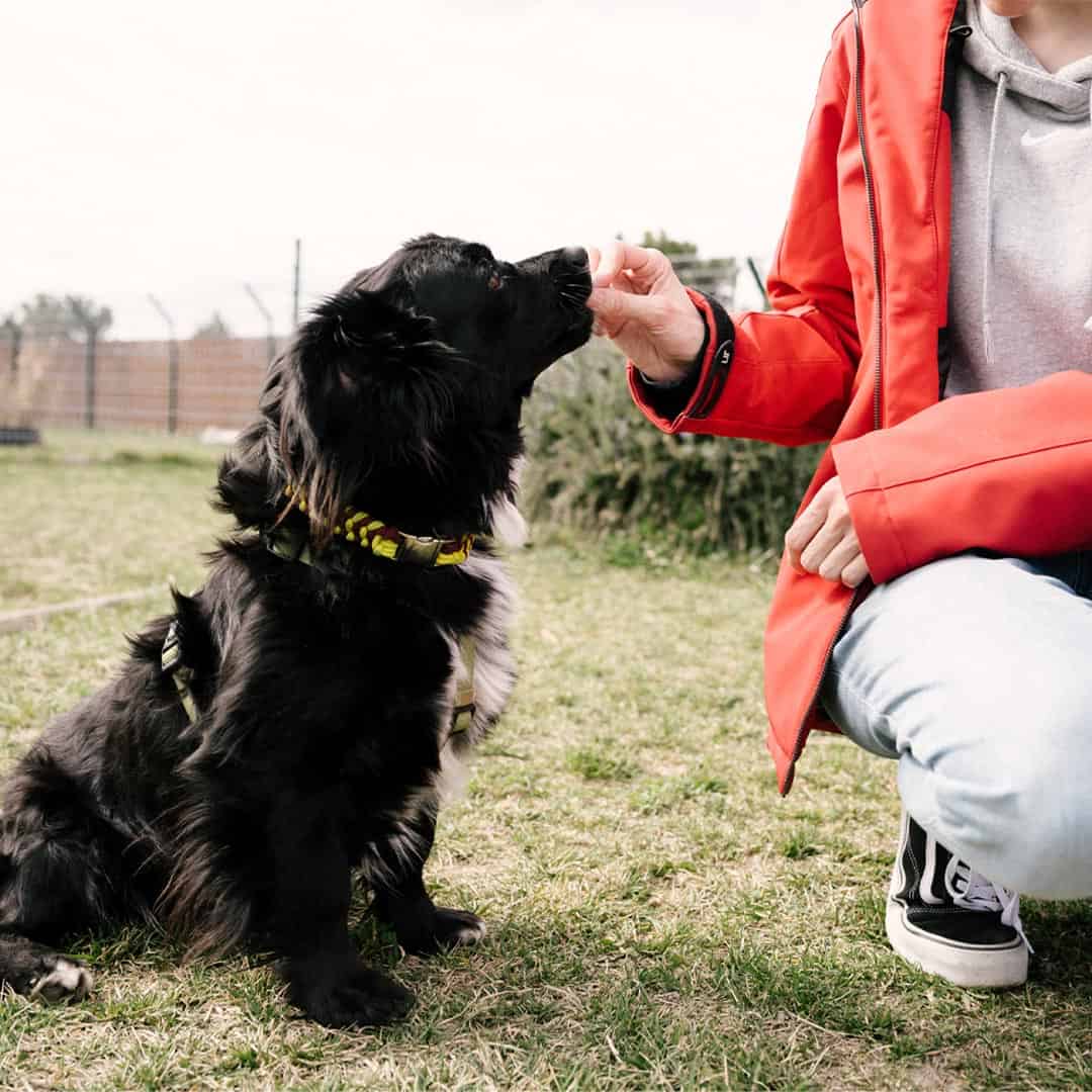 Spendenseite Helfen und Mitmachen mobile