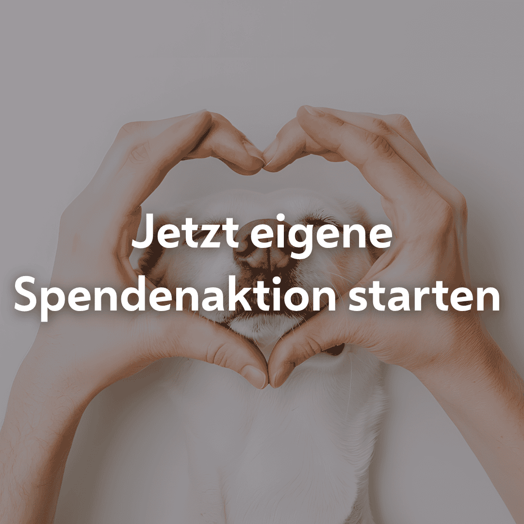 P2P Eigene Spendenaktion mobil