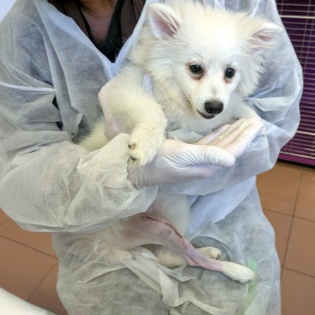 Spendenprojekt Header Atsu mobil