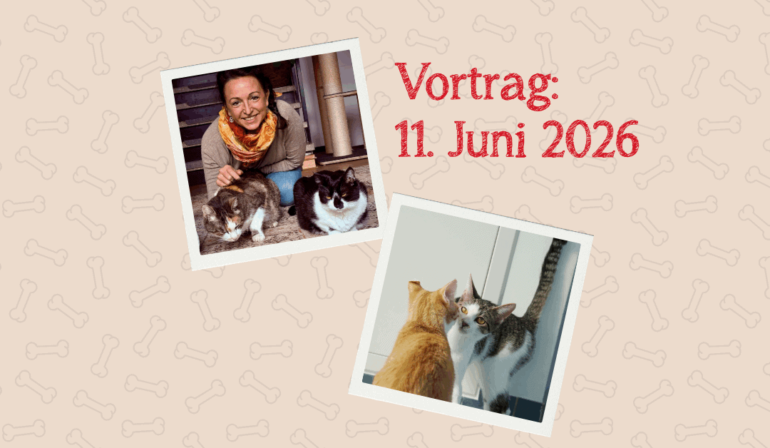 Vortrag am 11. Juni 2026 um 17:00 Uhr: „Katzen verstehen – Vergesellschaftung und Zusammenleben von Katzen“