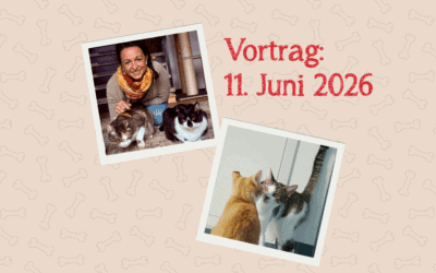 Vortrag am 11. Juni 2026 um 17:00 Uhr: „Katzen verstehen – Vergesellschaftung und Zusammenleben von Katzen“