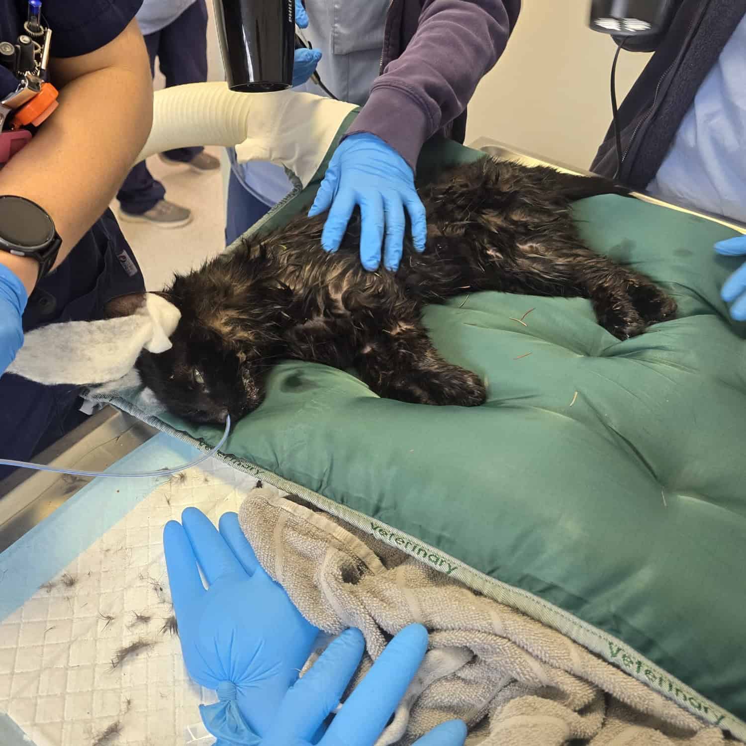 Spendenprojekt ON0626 Lenny Header mobil