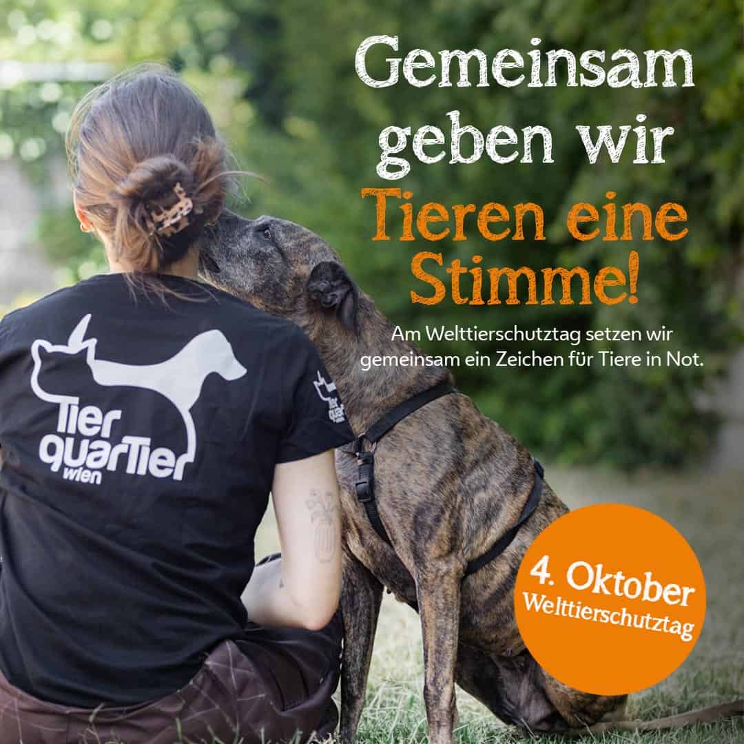 Spendenseite Header Welttierschutztag ON 1626 mobil